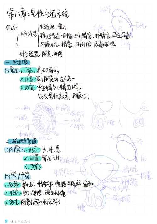 论文解剖指南：7步拆解正文核心密码