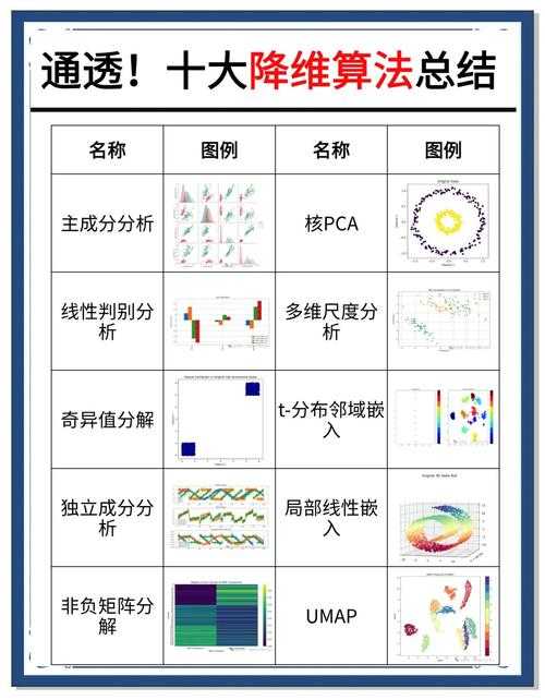 论文维度如何体现