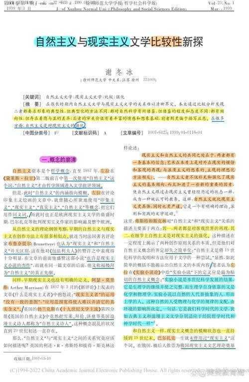 世纪论文是什么