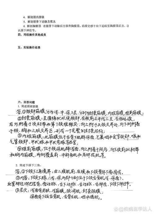 别再被论文结构卡脖子！资深审稿人教你拆解论文骨架的黄金法则