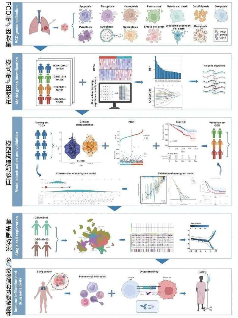 论文结构解密:从草稿到顶刊的完整路线图