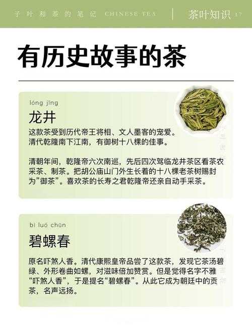 茶香里的学术密码：手把手教你产出科学饮茶高质量论文