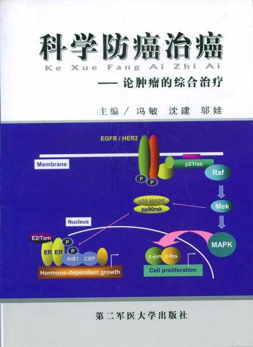 防癌抗癌论文实战指南：如何从临床研究到学术高影响力