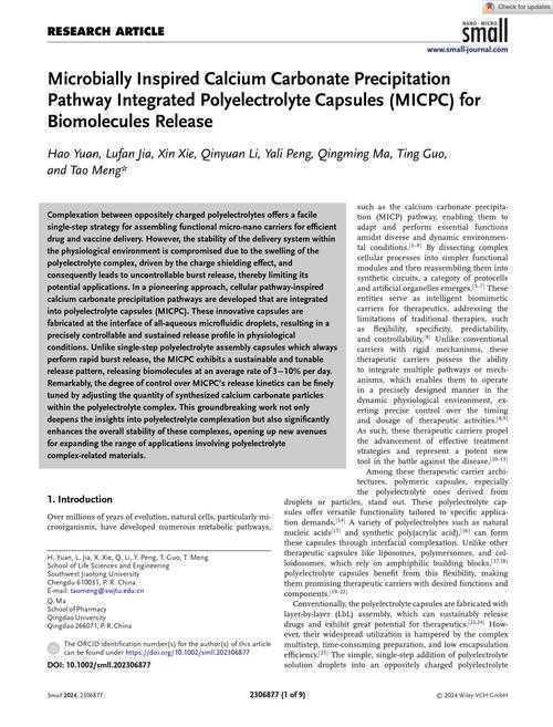 case论文什么意思