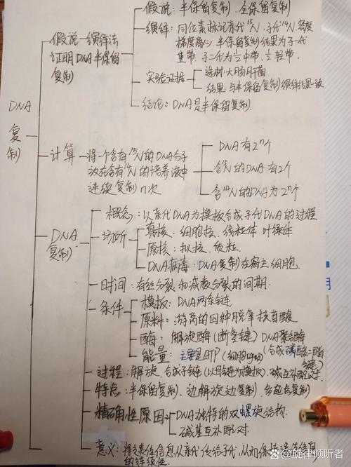 论文要求写什么？拆解学术写作的DNA结构