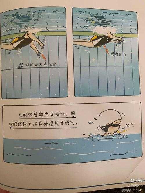 自学蛙泳论文：构建高效研究的艺术