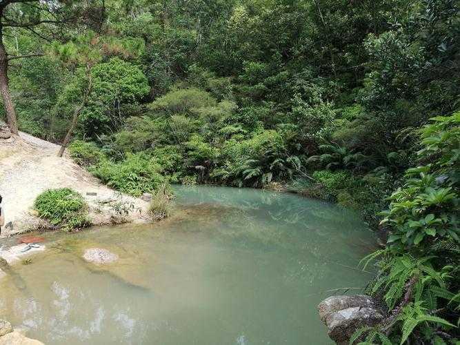 别猜了！论文署名这潭水到底有多深？聊聊那些隐藏的作者权责门道