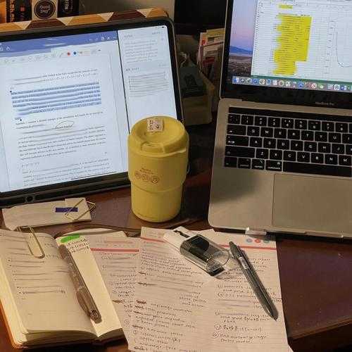 写论文是什么体验