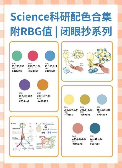 当学术邂逅美学：5步打造专业论文图表的色彩策略